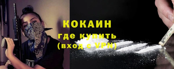 шишки Балабаново