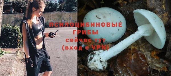 PSILOCYBIN Сафоново