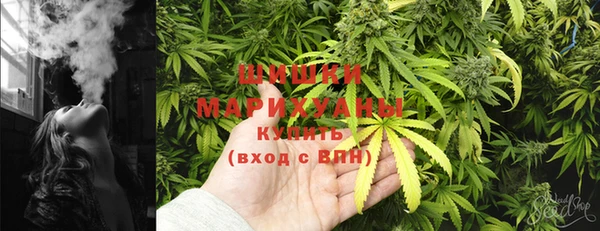 шишки Балабаново