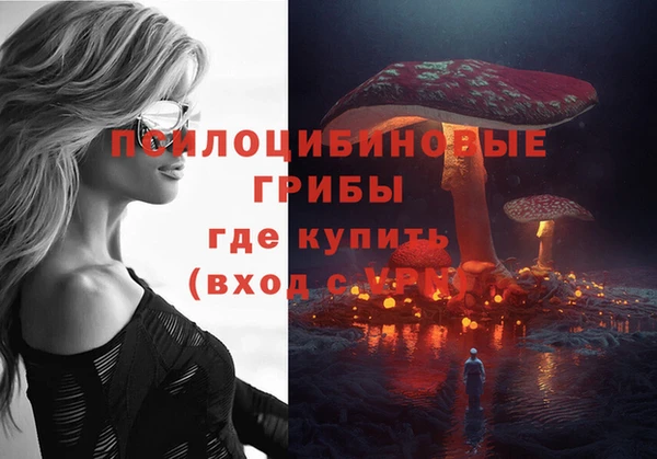 шишки Балабаново
