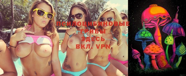 шишки Балабаново