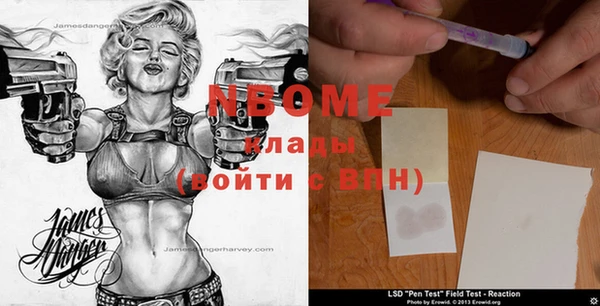 шишки Балабаново